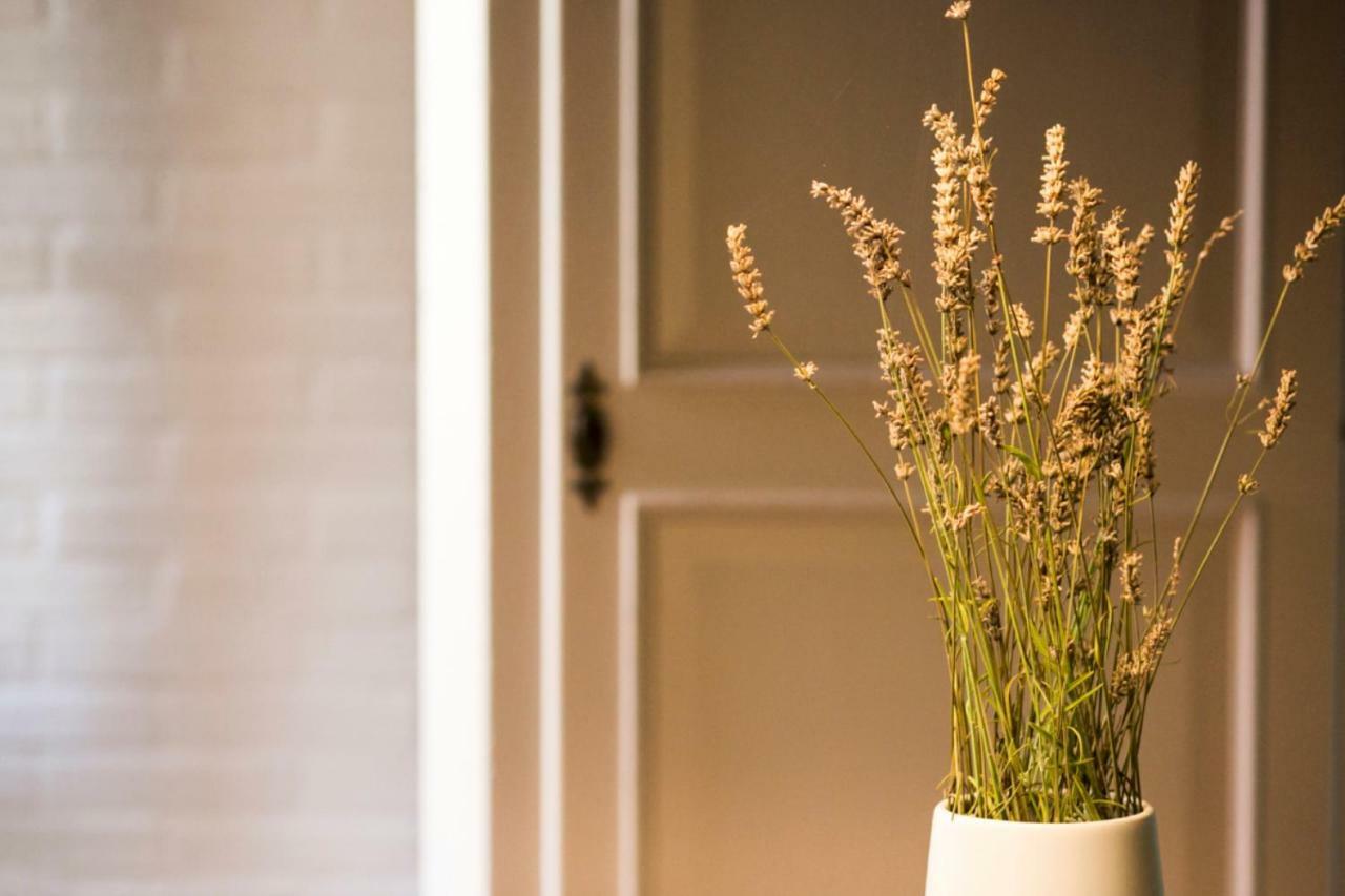 Apartament Ca Tugnin Dill Cich Ferrara Zewnętrze zdjęcie